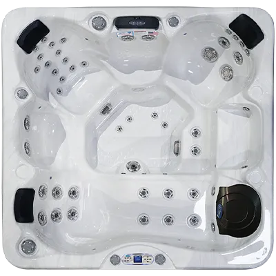 Avalon EC-849L hot tubs for sale in Waukesha