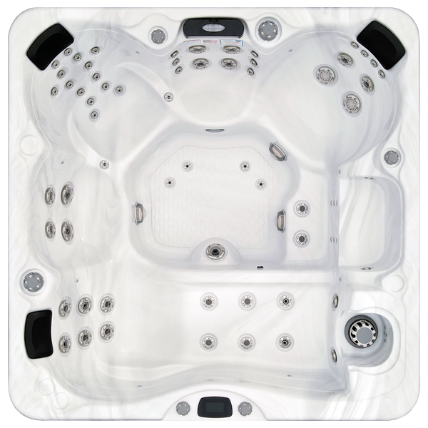 Avalon-X EC-867LX hot tubs for sale in Waukesha