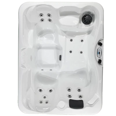 Kona PZ-519L hot tubs for sale in Waukesha